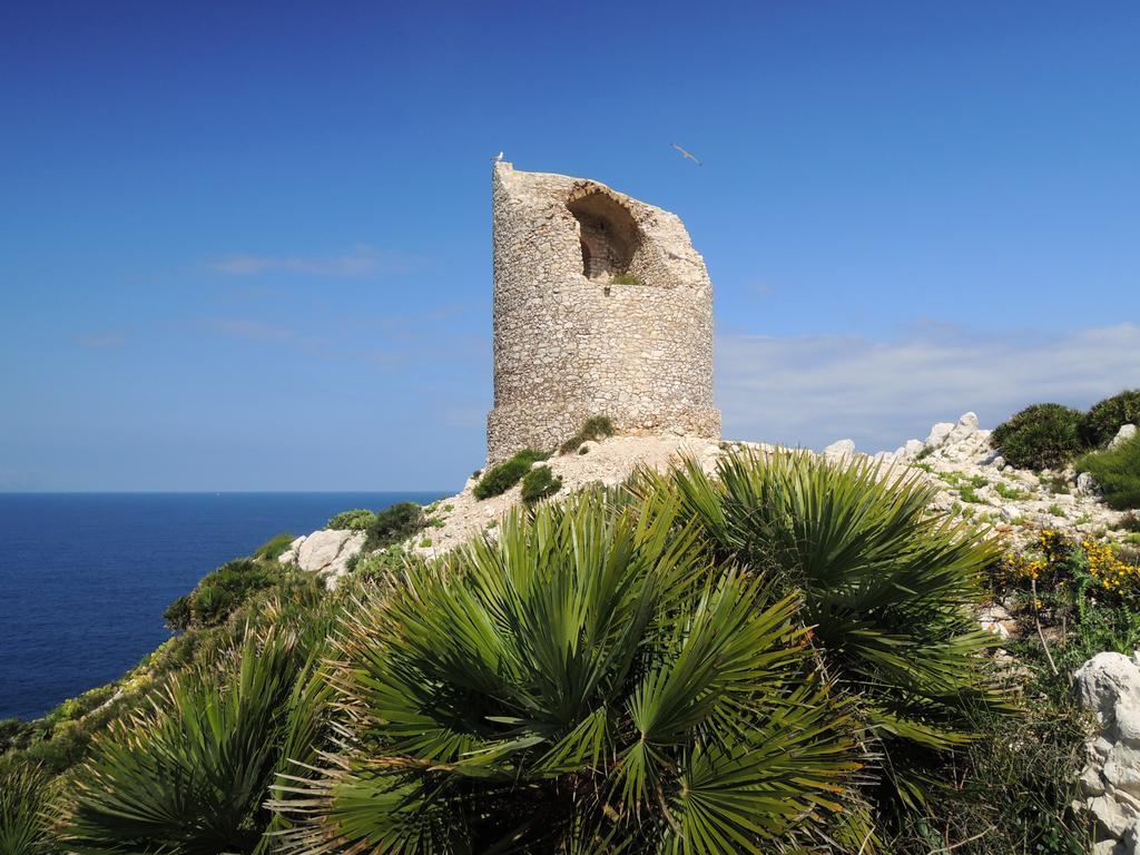 Terrasole Bakery B&B Terrasini Εξωτερικό φωτογραφία
